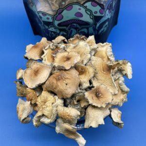 buy nut cracker mushrooms online, order nut cracker magic mushrooms, shop nut cracker mushrooms discreet shipping, nut cracker strain for sale, strong psilocybin mushroom buy, where to get nut cracker shrooms, premium nut cracker psilocybin online, nut cracker trippy mushrooms store, shop microdose nut cracker, nut cracker magic truffles order, buy dried nut cracker mushrooms, nut cracker capsules online, lab-tested nut cracker buy, bulk nut cracker mushrooms for sale, order potent psychedelic mushrooms, nut cracker mushroom effects review, nut cracker vs golden teacher, best magic mushroom strain, nut cracker product description, nut cracker shrooms compared, psychedelic mushroom store reviews, strongest mushroom strain 2025, nut cracker mushroom capsules, buy nut cracker microdose, top 10 psilocybin strains, nut cracker experience reports, psilocybin mushroom e-commerce, nut cracker mushroom strength chart, magic mushroom shop Canada, nut cracker trippybloom.com, what is nut cracker mushroom, how to dose nut cracker, nut cracker mushroom potency, nut cracker trip guide, benefits of nut cracker mushrooms, psilocybin mushroom for therapy, nut cracker microdosing protocol, how strong is nut cracker mushroom, nut cracker mushroom dosage chart, psilocybin mushroom legality, nut cracker safe dosage, best setting for shroom trip, tripping with nut cracker, best music for mushroom trip, microdosing mushrooms benefits, nut cracker strain potency, nut cracker mushrooms Canada, nut cracker mushrooms USA, buy magic mushrooms USA, psilocybin mushrooms near me, strong mushrooms online, psychedelic mushroom store, nut cracker grow kit, nut cracker effects guide, nut cracker mushroom experience, nut cracker mushrooms for therapy, microdose nut cracker capsules, nut cracker powder microdose, nut cracker mushroom spores, nut cracker mushroom cultivation, nut cracker mushroom genetics, strongest magic mushroom strain, nut cracker high dose, buy psilocybin mushrooms online, nut cracker magic mushroom capsules, nut cracker mushroom visuals, nut cracker psilocybin content, nut cracker therapeutic use, nut cracker mushroom strength, nut cracker vs albino penis envy, psilocybin for anxiety, buy microdosing mushrooms, buy psilocybin capsules online, nut cracker legal countries, buy mushrooms discreetly, nut cracker for sale online, nut cracker buy Canada, buy shrooms online, order nut cracker shrooms, trippy bloom nut cracker, buy nut cracker trippy bloom, best place to buy magic mushrooms, nut cracker mushroom reviews, nut cracker mushroom for depression, nut cracker mushroom for ptsd, nut cracker mushroom microdose benefits, nut cracker mushroom trip length, how long do nut cracker trips last, nut cracker mushroom trip intensity, nut cracker mushroom potency comparison, nut cracker mushrooms safety tips, safe trip mushroom guide, nut cracker mushroom shop Europe, nut cracker mushroom online dispensary, buy mushroom capsules online, magic mushroom capsules for sale, nut cracker mushroom powder, nut cracker mushroom extract, nut cracker shroom edibles, nut cracker chocolate bars, psychedelic mushroom online store, nut cracker mushrooms effects, nut cracker mushroom how to use, nut cracker mushroom research, psilocybin clinical studies, nut cracker mushroom for mental health, best mushrooms for beginners, nut cracker mushrooms near me, nut cracker mushroom cultivation kit, nut cracker mushroom grow guide, nut cracker mushroom genetics explained, nut cracker mushroom high, how to take nut cracker mushrooms, nut cracker mushroom stages, nut cracker mushroom spiritual effects, nut cracker mushroom trip levels, nut cracker mushrooms microdose guide, nut cracker mushroom legal status, nut cracker mushroom laws 2025, nut cracker mushroom online UK, nut cracker mushroom decriminalized, magic mushroom legality map, buy mushrooms with crypto, discreet shipping psychedelics, trippy bloom psilocybin products, strongest mushroom strain online, nut cracker mushroom marketplace, nut cracker psilocybin experience, nut cracker mushroom capsules dosage, buy nut cracker mushrooms safely, order nut cracker online USA, best mushroom store online, nut cracker mushroom brand, psilocybin mushroom guide, nut cracker mushroom potency level, nut cracker mushroom safe dose, nut cracker mushroom benefits list, nut cracker mushroom information, nut cracker mushroom product details, nut cracker mushroom potency test, nut cracker mushroom effects chart, nut cracker mushroom duration, nut cracker mushroom trip tips, buy magic mushrooms online worldwide