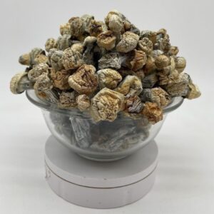 buy pie orgie magic mushrooms online, order pie orgie shrooms, pie orgie mushroom for sale, strongest mushroom strain 2025, shop psilocybin mushrooms online, sweet tasting magic mushrooms, dessert strain shrooms online, trippy bloom mushroom store, pie orgie mushroom capsules, pie orgie mushroom tea, pie orgie mushroom edibles, pie orgie mushroom microdose, pie orgie mushroom experience, pie orgie trip report, how strong is pie orgie mushroom, pie orgie vs golden teacher, pie orgie strain potency, buy magic mushrooms discreet shipping, psilocybin mushrooms sweet flavor, pie orgie trippy bloom, best pie orgie dosage, psilocybin mushroom guide, magic mushrooms creative use, euphoric mushroom strain, buy psychedelic mushrooms USA, magic mushrooms legal Canada, best strain for microdosing 2025, pie orgie mushroom potency chart, pie orgie mushroom visuals, top mushroom strains for visuals, buy mushroom chocolates online, pie orgie mushroom therapeutic use, mushroom for therapy and joy, psilocybin dosage chart, where to buy shrooms online, pie orgie mushroom brand, mushroom journey starter strain, artistic mushrooms online, psychedelic mushroom online Canada, pie orgie mushrooms near me, pie orgie mushroom shop USA, legal mushroom strains 2025, psychedelic mushroom e-commerce, mushroom integration tips, mushroom come up duration, how to store dried mushrooms, pie orgie magic mushroom effects, trip sitter mushroom safety, pie orgie mushroom reviews, trippy bloom pie orgie strain, best mushroom strains for meditation, buy mushroom trip guide, pie orgie mushroom legal status, microdose pie orgie for productivity, pie orgie mushroom benefits, mushroom online shop discreet, safest mushroom strains to trip, pie orgie grow kit, pie orgie mushroom cultivation, pie orgie mushroom dried bulk, order mushroom microdose stacks, top mushroom strains for healing, mushroom therapy near me, pie orgie for anxiety, mushroom for spiritual growth, mushroom trip tips beginners, magic mushroom dosage calculator, strongest psilocybin strains, magic mushrooms US delivery, shroom strain for empathy, mushroom trip gear, pie orgie for couples therapy, sweet smelling mushrooms, best shroom for music, mushroom tea recipe pie orgie, mushroom visual guide, mushroom trip playlist, pie orgie mushroom effects chart, magic mushroom safety checklist, pie orgie mushroom music pairing, mushroom trip levels, psychedelic journey tools, how to use pie orgie mushrooms, mushroom trip preparation checklist, psilocybin mushroom research 2025, psilocybin effects explained, mushroom use for depression, mushroom use for trauma healing, buy psilocybin legally, legal mushroom shops online, psilocybin capsules online order, mushroom spiritual awakening, mushroom trip journal template, pie orgie mushroom chocolate bar, psilocybin trip support group, mushroom safe trip setting, trip sitter for pie orgie strain, psilocybin strains compared, order mushroom extracts, mushroom product packaging stealth, pie orgie mushroom tea effects, mushroom trip euphoria, how to blend mushrooms with herbs, best mushroom strains for women, mushroom trip sensitivity guide, top 2025 mushroom brands, psychedelic store trippy bloom, pie orgie mushroom user stories, mushroom dose by weight, best food before mushrooms, pie orgie and lion’s mane stack, creative flow mushrooms, magic mushrooms for clarity, safe storage for mushrooms, mushroom shelf life tips, mushroom spiritual dose, buy shrooms online secure, mushroom trip enhancer herbs, best practices for psychedelic use, high vibration mushroom strains, mushroom ego dissolution dose, trippy bloom mushroom deals, mushroom flashbacks explained, legal mushroom grow kits, pie orgie mushroom community, trippy mushroom memes, mushroom strain for calmness, how to hide mushroom taste, pie orgie mushroom potency lab test, mushroom dosing for trauma, shrooms vs pie orgie comparison, euphoric trip mushroom, buy mushroom capsules US, psilocybin mushroom festival 2025, how to end a mushroom trip, grounding post-trip ritual, trippy bloom psilocybin education