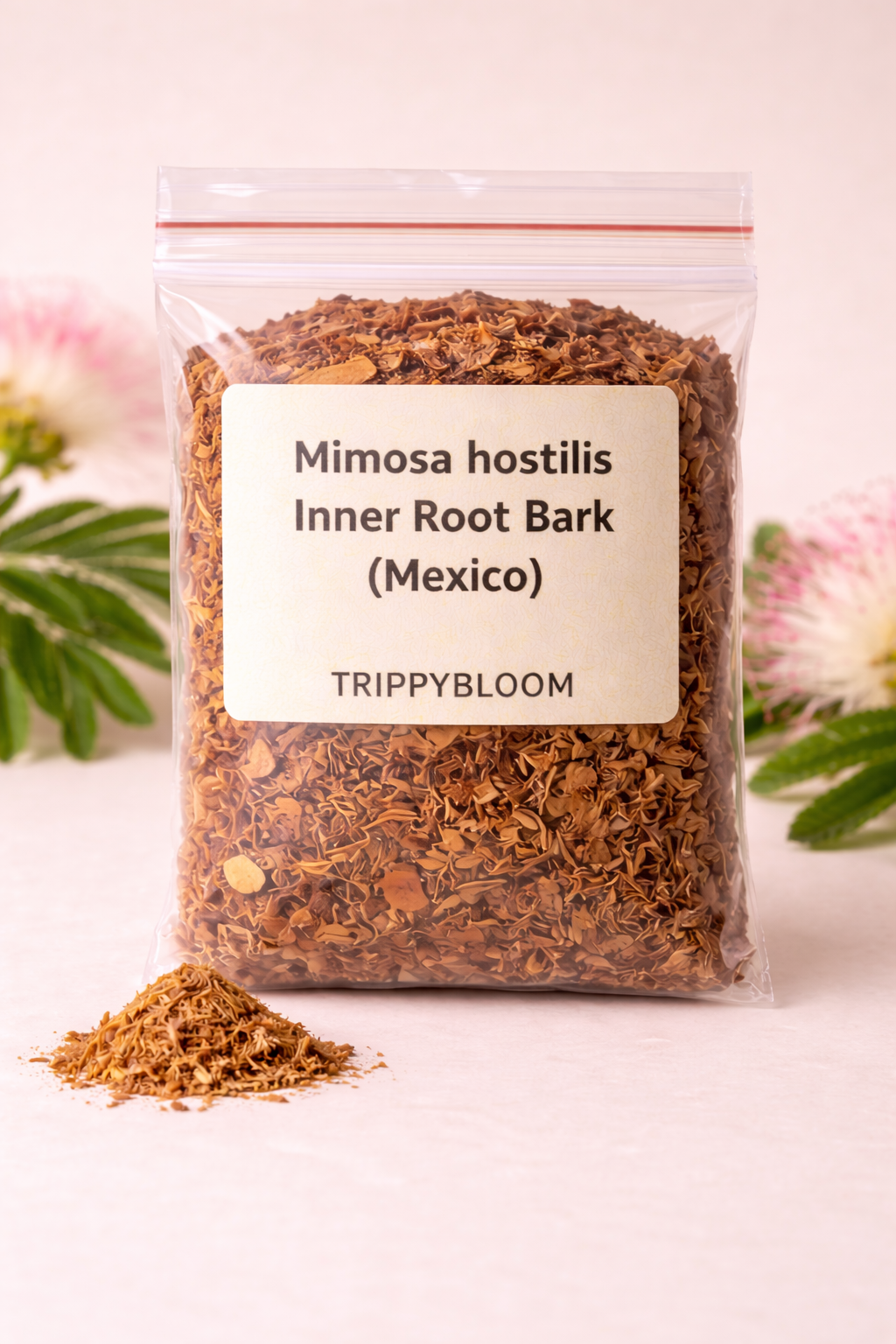 Buy Mexican Mimosa Hostilis Inner Root, buy mexican mimosa hostilis inner root bark online, mimosa hostilis inner root bark, mimosa hostilis root bark mexico, mexican mimosa hostilis for sale, mimosa hostilis inner bark buy online, mimosa hostilis bark supplier, mimosa hostilis bark shop, mimosa hostilis inner root bark wholesale, mimosa hostilis ethnobotanical, mimosa hostilis natural dye, mimosa hostilis plant material, mimosa hostilis bark powder, mimosa hostilis bark shredded, mimosa hostilis botanical product, mimosa hostilis bark online store, mimosa hostilis bark worldwide shipping, buy mimosa hostilis bark online, mimosa hostilis bark premium quality, mimosa hostilis bark trippybloom, mimosa hostilis bark vendor, mimosa hostilis inner bark mexico, mimosa hostilis bark authentic, mimosa hostilis bark organic, mimosa hostilis bark natural product, mimosa hostilis bark research use, mimosa hostilis bark educational use, mimosa hostilis bark non medicinal, mimosa hostilis bark plant source, mimosa hostilis bark raw material, mimosa hostilis bark botanical supply, mimosa hostilis bark ecommerce, mimosa hostilis bark discreet shipping, mimosa hostilis bark global delivery, mimosa hostilis bark herbal material, mimosa hostilis bark dye use, mimosa hostilis bark textile dye, mimosa hostilis bark tannin rich, mimosa hostilis bark traditional plant, mimosa hostilis bark natural tannins, mimosa hostilis bark eco dye, mimosa hostilis bark fiber dyeing, mimosa hostilis bark plant research, mimosa hostilis bark collectors, mimosa hostilis bark specialty store, mimosa hostilis bark lab supply, mimosa hostilis bark plant extract source, mimosa hostilis bark inner layer, mimosa hostilis bark finely cut, mimosa hostilis bark dried, mimosa hostilis bark sealed packaging, mimosa hostilis bark quality controlled, mimosa hostilis bark botanical retailer, mimosa hostilis bark online order, mimosa hostilis bark secure checkout, mimosa hostilis bark fast shipping, mimosa hostilis bark international orders, mimosa hostilis bark legal botanical, mimosa hostilis bark natural resource, mimosa hostilis bark plant education, mimosa hostilis bark traditional dye plant, mimosa hostilis bark ethnobotany supply, mimosa hostilis bark study material, mimosa hostilis bark natural coloring agent, mimosa hostilis bark plant bark, mimosa hostilis bark research material, mimosa hostilis bark plant bark material, mimosa hostilis bark eco friendly dye, mimosa hostilis bark sustainable sourcing, mimosa hostilis bark premium bark, mimosa hostilis bark shop online, mimosa hostilis bark ecommerce product, mimosa hostilis bark non pharmaceutical, mimosa hostilis bark plant specimen, mimosa hostilis bark bark chips, mimosa hostilis bark bark shavings, mimosa hostilis bark inner bark fibers, mimosa hostilis bark plant fibers, mimosa hostilis bark clean product, mimosa hostilis bark curated supply, mimosa hostilis bark specialty botanical, mimosa hostilis bark professional packaging, mimosa hostilis bark sealed bag, mimosa hostilis bark glass jar option, mimosa hostilis bark ziplock packaging, mimosa hostilis bark trippybloom store, mimosa hostilis bark online purchase, mimosa hostilis bark safe storage, mimosa hostilis bark shelf stable, mimosa hostilis bark long lasting, mimosa hostilis bark botanical market, mimosa hostilis bark ethical sourcing, mimosa hostilis bark plant heritage, mimosa hostilis bark latin american plant, mimosa hostilis bark mexican origin, mimosa hostilis bark authentic mexico, mimosa hostilis bark plant bark supply, mimosa hostilis bark dried plant bark, mimosa hostilis bark natural bark material, mimosa hostilis bark research friendly, mimosa hostilis bark non consumable product, mimosa hostilis bark botanical specimen, mimosa hostilis bark collector grade