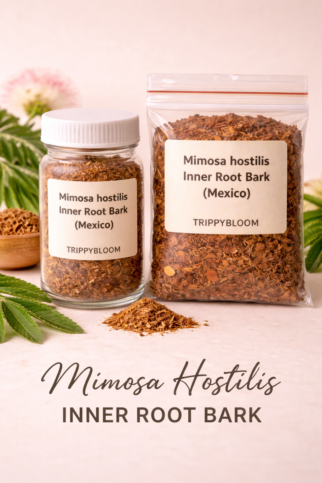 Buy Mimosa Hostilis Inner Root Bark, Buy Mimosa Hostilis inner root bark USA, order MHRB online, Tepezcohuite powder for sale, Jurema Preta root bark buy, Mimosa tenuiflora root bark USA, buy natural dye bark, MHRB vendor California, sustainable Mimosa Hostilis sourcing, Mimosa Hostilis bark bulk wholesale, buy MHRB shredded USA, powdered Mimosa Hostilis root bark, Mimosa Hostilis root bark legal USA, high tannin root bark dye, organic Jurema root bark, buy MHRB for soap making, Tepezcohuite skin care ingredients, buy Mimosa Hostilis inner bark Canada, order MHRB Toronto, Mimosa Hostilis dye supplier Canada, buy MHRB Vancouver, Mimosa Hostilis root bark UK, buy MHRB London, Jurema bark UK shop, Tepezcohuite powder UK, buy Mimosa Hostilis Europe, MHRB shop Germany, Mimosa Hostilis kaufen Deutschland, Jurema Rinde bestellen, Mimosa tenuiflora kaufen, Mimosa hostilis Belgium, acheter Mimosa Hostilis Belgique, Mimosa hostilis kopen Nederland, buy MHRB Australia, Mimosa Hostilis root bark Australia border, acacia confusa vs mimosa hostilis, buy botanical dyes online, natural purple dye material, Mimosa Hostilis root bark extraction dye, MHRB dye recipe, buy Mimosa Hostilis root bark powder 500g, MHRB 1kg price, cheap Mimosa Hostilis root bark, premium inner root bark MHRB, Brazilian Mimosa Hostilis for sale, Mexican Mimosa Hostilis root bark, buy Tepezcohuite online, Mimosa Hostilis root bark uses, MHRB soap benefits, Mimosa Hostilis root bark powder benefits, Mimosa Hostilis psychedelic dye, Mimosa Hostilis spiritual use Brazil, buy Jurema wine ingredients, Mimosa Hostilis tea bark, where to buy MHRB locally, best MHRB vendor Reddit 2025, trusted Mimosa Hostilis suppliers, Mimosa Hostilis root bark reviews, buy Mimosa Hostilis root bark with credit card, order MHRB bitcoin, discreet shipping MHRB, fast shipping Mimosa Hostilis USA, Tepezcohuite for burns, Mimosa Hostilis collagen production, buy Mimosa Hostilis powder Australia, MHRB customs safety, Mimosa Hostilis root bark ebay alternative, Mimosa Hostilis Etsy seller, natural fabric dye supplies, wool dyeing with Mimosa, silk dyeing natural, cotton dye Mimosa Hostilis, leather tanning bark, high quality MHRB powder, Mimosa Hostilis root bark chunks, finely shredded MHRB, Mimosa Hostilis bark chips, buy MHRB New York, MHRB vendor Texas, MHRB Florida, Mimosa Hostilis California legal, buy MHRB Montreal, Mimosa Hostilis root bark Alberta, MHRB shop Berlin, Mimosa Hostilis Munich, MHRB Hamburg kaufen, Mimosa Hostilis Vienna, buy MHRB Sydney, Mimosa Hostilis Melbourne, MHRB Brisbane, buy MHRB Perth, Mimosa Hostilis root bark New Zealand, buy MHRB Ireland, Mimosa Hostilis Dublin, MHRB Scotland, Mimosa Hostilis Wales, buy Tepezcohuite cream ingredients, make your own Tepezcohuite soap, Mimosa Hostilis root bark antioxidant, MHRB anti-aging properties, Mimosa Hostilis acne treatment, natural antimicrobial bark, healing bark powder, indigenous Mimosa Hostilis harvest, fair trade MHRB, sustainable Jurema harvesting, Mimosa tenuiflora syn hostilis, fresh harvest MHRB, high alkaloid root bark, Mimosa Hostilis dye fastness, natural mordant bark, MHRB pH indicator, purple root dye, red root bark dye, Mimosa Hostilis root bark medicinal uses, traditional Jurema medicine, buy Mimosa Hostilis root bark wholesale Europe, MHRB bulk supplier USA, 10kg Mimosa Hostilis price, 50g MHRB sample, MHRB powder fine grind, Mimosa Hostilis root bark storage, how to store MHRB, MHRB shelf life, authentic Mimosa Hostilis bark, real Jurema Preta, Mimosa Hostilis identification, MHRB purity test, buy verified MHRB, Mimosa Hostilis root bark safety, MHRB side effects skin, Mimosa Hostilis root bark contraindications, Tepezcohuite tree bark buy, Mimosa Hostilis seeds for sale, grow Mimosa Hostilis USA, Mimosa Hostilis plant care, Mimosa tenuiflora seeds buy