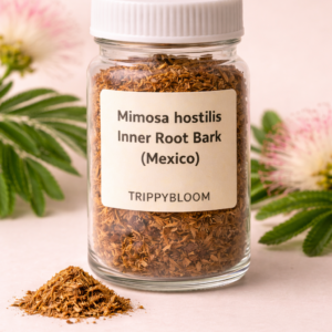 Buy Mexican Mimosa Hostilis Inner Root, buy mexican mimosa hostilis inner root bark online, mimosa hostilis inner root bark, mimosa hostilis root bark mexico, mexican mimosa hostilis for sale, mimosa hostilis inner bark buy online, mimosa hostilis bark supplier, mimosa hostilis bark shop, mimosa hostilis inner root bark wholesale, mimosa hostilis ethnobotanical, mimosa hostilis natural dye, mimosa hostilis plant material, mimosa hostilis bark powder, mimosa hostilis bark shredded, mimosa hostilis botanical product, mimosa hostilis bark online store, mimosa hostilis bark worldwide shipping, buy mimosa hostilis bark online, mimosa hostilis bark premium quality, mimosa hostilis bark trippybloom, mimosa hostilis bark vendor, mimosa hostilis inner bark mexico, mimosa hostilis bark authentic, mimosa hostilis bark organic, mimosa hostilis bark natural product, mimosa hostilis bark research use, mimosa hostilis bark educational use, mimosa hostilis bark non medicinal, mimosa hostilis bark plant source, mimosa hostilis bark raw material, mimosa hostilis bark botanical supply, mimosa hostilis bark ecommerce, mimosa hostilis bark discreet shipping, mimosa hostilis bark global delivery, mimosa hostilis bark herbal material, mimosa hostilis bark dye use, mimosa hostilis bark textile dye, mimosa hostilis bark tannin rich, mimosa hostilis bark traditional plant, mimosa hostilis bark natural tannins, mimosa hostilis bark eco dye, mimosa hostilis bark fiber dyeing, mimosa hostilis bark plant research, mimosa hostilis bark collectors, mimosa hostilis bark specialty store, mimosa hostilis bark lab supply, mimosa hostilis bark plant extract source, mimosa hostilis bark inner layer, mimosa hostilis bark finely cut, mimosa hostilis bark dried, mimosa hostilis bark sealed packaging, mimosa hostilis bark quality controlled, mimosa hostilis bark botanical retailer, mimosa hostilis bark online order, mimosa hostilis bark secure checkout, mimosa hostilis bark fast shipping, mimosa hostilis bark international orders, mimosa hostilis bark legal botanical, mimosa hostilis bark natural resource, mimosa hostilis bark plant education, mimosa hostilis bark traditional dye plant, mimosa hostilis bark ethnobotany supply, mimosa hostilis bark study material, mimosa hostilis bark natural coloring agent, mimosa hostilis bark plant bark, mimosa hostilis bark research material, mimosa hostilis bark plant bark material, mimosa hostilis bark eco friendly dye, mimosa hostilis bark sustainable sourcing, mimosa hostilis bark premium bark, mimosa hostilis bark shop online, mimosa hostilis bark ecommerce product, mimosa hostilis bark non pharmaceutical, mimosa hostilis bark plant specimen, mimosa hostilis bark bark chips, mimosa hostilis bark bark shavings, mimosa hostilis bark inner bark fibers, mimosa hostilis bark plant fibers, mimosa hostilis bark clean product, mimosa hostilis bark curated supply, mimosa hostilis bark specialty botanical, mimosa hostilis bark professional packaging, mimosa hostilis bark sealed bag, mimosa hostilis bark glass jar option, mimosa hostilis bark ziplock packaging, mimosa hostilis bark trippybloom store, mimosa hostilis bark online purchase, mimosa hostilis bark safe storage, mimosa hostilis bark shelf stable, mimosa hostilis bark long lasting, mimosa hostilis bark botanical market, mimosa hostilis bark ethical sourcing, mimosa hostilis bark plant heritage, mimosa hostilis bark latin american plant, mimosa hostilis bark mexican origin, mimosa hostilis bark authentic mexico, mimosa hostilis bark plant bark supply, mimosa hostilis bark dried plant bark, mimosa hostilis bark natural bark material, mimosa hostilis bark research friendly, mimosa hostilis bark non consumable product, mimosa hostilis bark botanical specimen, mimosa hostilis bark collector grade