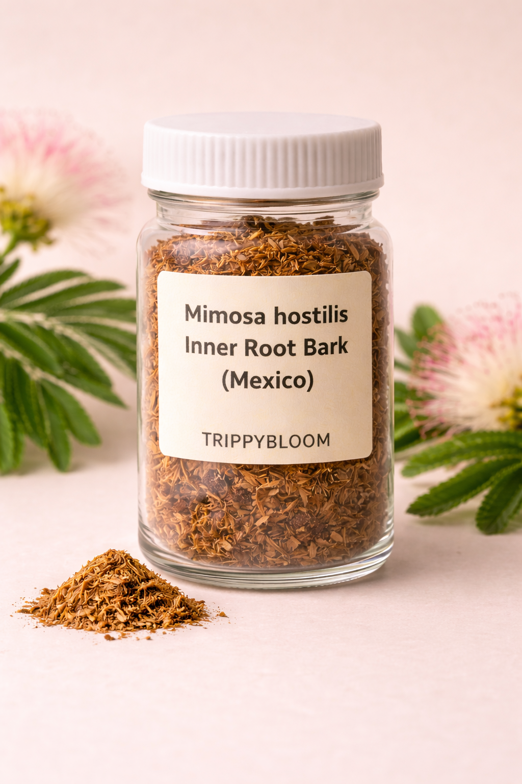 Buy Mexican Mimosa Hostilis Inner Root, buy mexican mimosa hostilis inner root bark online, mimosa hostilis inner root bark, mimosa hostilis root bark mexico, mexican mimosa hostilis for sale, mimosa hostilis inner bark buy online, mimosa hostilis bark supplier, mimosa hostilis bark shop, mimosa hostilis inner root bark wholesale, mimosa hostilis ethnobotanical, mimosa hostilis natural dye, mimosa hostilis plant material, mimosa hostilis bark powder, mimosa hostilis bark shredded, mimosa hostilis botanical product, mimosa hostilis bark online store, mimosa hostilis bark worldwide shipping, buy mimosa hostilis bark online, mimosa hostilis bark premium quality, mimosa hostilis bark trippybloom, mimosa hostilis bark vendor, mimosa hostilis inner bark mexico, mimosa hostilis bark authentic, mimosa hostilis bark organic, mimosa hostilis bark natural product, mimosa hostilis bark research use, mimosa hostilis bark educational use, mimosa hostilis bark non medicinal, mimosa hostilis bark plant source, mimosa hostilis bark raw material, mimosa hostilis bark botanical supply, mimosa hostilis bark ecommerce, mimosa hostilis bark discreet shipping, mimosa hostilis bark global delivery, mimosa hostilis bark herbal material, mimosa hostilis bark dye use, mimosa hostilis bark textile dye, mimosa hostilis bark tannin rich, mimosa hostilis bark traditional plant, mimosa hostilis bark natural tannins, mimosa hostilis bark eco dye, mimosa hostilis bark fiber dyeing, mimosa hostilis bark plant research, mimosa hostilis bark collectors, mimosa hostilis bark specialty store, mimosa hostilis bark lab supply, mimosa hostilis bark plant extract source, mimosa hostilis bark inner layer, mimosa hostilis bark finely cut, mimosa hostilis bark dried, mimosa hostilis bark sealed packaging, mimosa hostilis bark quality controlled, mimosa hostilis bark botanical retailer, mimosa hostilis bark online order, mimosa hostilis bark secure checkout, mimosa hostilis bark fast shipping, mimosa hostilis bark international orders, mimosa hostilis bark legal botanical, mimosa hostilis bark natural resource, mimosa hostilis bark plant education, mimosa hostilis bark traditional dye plant, mimosa hostilis bark ethnobotany supply, mimosa hostilis bark study material, mimosa hostilis bark natural coloring agent, mimosa hostilis bark plant bark, mimosa hostilis bark research material, mimosa hostilis bark plant bark material, mimosa hostilis bark eco friendly dye, mimosa hostilis bark sustainable sourcing, mimosa hostilis bark premium bark, mimosa hostilis bark shop online, mimosa hostilis bark ecommerce product, mimosa hostilis bark non pharmaceutical, mimosa hostilis bark plant specimen, mimosa hostilis bark bark chips, mimosa hostilis bark bark shavings, mimosa hostilis bark inner bark fibers, mimosa hostilis bark plant fibers, mimosa hostilis bark clean product, mimosa hostilis bark curated supply, mimosa hostilis bark specialty botanical, mimosa hostilis bark professional packaging, mimosa hostilis bark sealed bag, mimosa hostilis bark glass jar option, mimosa hostilis bark ziplock packaging, mimosa hostilis bark trippybloom store, mimosa hostilis bark online purchase, mimosa hostilis bark safe storage, mimosa hostilis bark shelf stable, mimosa hostilis bark long lasting, mimosa hostilis bark botanical market, mimosa hostilis bark ethical sourcing, mimosa hostilis bark plant heritage, mimosa hostilis bark latin american plant, mimosa hostilis bark mexican origin, mimosa hostilis bark authentic mexico, mimosa hostilis bark plant bark supply, mimosa hostilis bark dried plant bark, mimosa hostilis bark natural bark material, mimosa hostilis bark research friendly, mimosa hostilis bark non consumable product, mimosa hostilis bark botanical specimen, mimosa hostilis bark collector grade