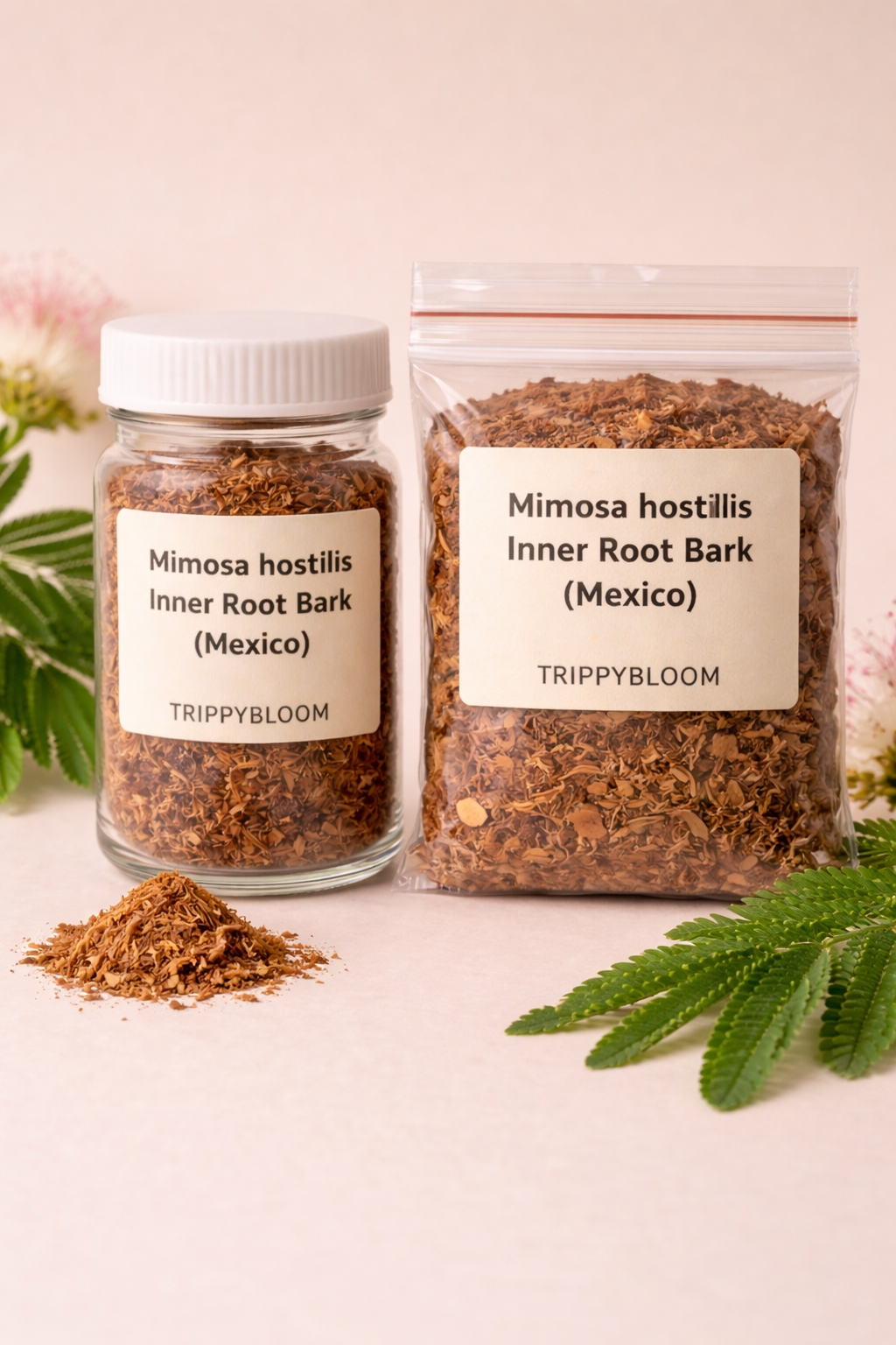 Buy Mexican Mimosa Hostilis Inner Root, buy mexican mimosa hostilis inner root bark online, mimosa hostilis inner root bark, mimosa hostilis root bark mexico, mexican mimosa hostilis for sale, mimosa hostilis inner bark buy online, mimosa hostilis bark supplier, mimosa hostilis bark shop, mimosa hostilis inner root bark wholesale, mimosa hostilis ethnobotanical, mimosa hostilis natural dye, mimosa hostilis plant material, mimosa hostilis bark powder, mimosa hostilis bark shredded, mimosa hostilis botanical product, mimosa hostilis bark online store, mimosa hostilis bark worldwide shipping, buy mimosa hostilis bark online, mimosa hostilis bark premium quality, mimosa hostilis bark trippybloom, mimosa hostilis bark vendor, mimosa hostilis inner bark mexico, mimosa hostilis bark authentic, mimosa hostilis bark organic, mimosa hostilis bark natural product, mimosa hostilis bark research use, mimosa hostilis bark educational use, mimosa hostilis bark non medicinal, mimosa hostilis bark plant source, mimosa hostilis bark raw material, mimosa hostilis bark botanical supply, mimosa hostilis bark ecommerce, mimosa hostilis bark discreet shipping, mimosa hostilis bark global delivery, mimosa hostilis bark herbal material, mimosa hostilis bark dye use, mimosa hostilis bark textile dye, mimosa hostilis bark tannin rich, mimosa hostilis bark traditional plant, mimosa hostilis bark natural tannins, mimosa hostilis bark eco dye, mimosa hostilis bark fiber dyeing, mimosa hostilis bark plant research, mimosa hostilis bark collectors, mimosa hostilis bark specialty store, mimosa hostilis bark lab supply, mimosa hostilis bark plant extract source, mimosa hostilis bark inner layer, mimosa hostilis bark finely cut, mimosa hostilis bark dried, mimosa hostilis bark sealed packaging, mimosa hostilis bark quality controlled, mimosa hostilis bark botanical retailer, mimosa hostilis bark online order, mimosa hostilis bark secure checkout, mimosa hostilis bark fast shipping, mimosa hostilis bark international orders, mimosa hostilis bark legal botanical, mimosa hostilis bark natural resource, mimosa hostilis bark plant education, mimosa hostilis bark traditional dye plant, mimosa hostilis bark ethnobotany supply, mimosa hostilis bark study material, mimosa hostilis bark natural coloring agent, mimosa hostilis bark plant bark, mimosa hostilis bark research material, mimosa hostilis bark plant bark material, mimosa hostilis bark eco friendly dye, mimosa hostilis bark sustainable sourcing, mimosa hostilis bark premium bark, mimosa hostilis bark shop online, mimosa hostilis bark ecommerce product, mimosa hostilis bark non pharmaceutical, mimosa hostilis bark plant specimen, mimosa hostilis bark bark chips, mimosa hostilis bark bark shavings, mimosa hostilis bark inner bark fibers, mimosa hostilis bark plant fibers, mimosa hostilis bark clean product, mimosa hostilis bark curated supply, mimosa hostilis bark specialty botanical, mimosa hostilis bark professional packaging, mimosa hostilis bark sealed bag, mimosa hostilis bark glass jar option, mimosa hostilis bark ziplock packaging, mimosa hostilis bark trippybloom store, mimosa hostilis bark online purchase, mimosa hostilis bark safe storage, mimosa hostilis bark shelf stable, mimosa hostilis bark long lasting, mimosa hostilis bark botanical market, mimosa hostilis bark ethical sourcing, mimosa hostilis bark plant heritage, mimosa hostilis bark latin american plant, mimosa hostilis bark mexican origin, mimosa hostilis bark authentic mexico, mimosa hostilis bark plant bark supply, mimosa hostilis bark dried plant bark, mimosa hostilis bark natural bark material, mimosa hostilis bark research friendly, mimosa hostilis bark non consumable product, mimosa hostilis bark botanical specimen, mimosa hostilis bark collector grade