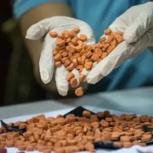 buy dmt pills online, buy dmt pills, dmt pills for sale, dmt pills online store, order dmt pills online, purchase dmt pills online, dmt pills buy online, dmt pill supplier, dmt pill vendor, trusted dmt pills, trippybloom dmt pills, dmt pills trippybloom, premium dmt pills, high quality dmt pills, lab tested dmt pills, authentic dmt pills, original dmt pills, dmt pills shop online, dmt pills marketplace, best place to buy dmt pills, dmt pills worldwide shipping, international dmt pills shipping, discreet dmt pills delivery, secure dmt pills checkout, fast shipping dmt pills, dmt pills bulk order, wholesale dmt pills, buy dmt pills bulk, dmt pills price, dmt pills cost, affordable dmt pills, cheap dmt pills online, dmt pills deals, dmt pills discounts, dmt pills express shipping, dmt pills discreet packaging, dmt pills plain packaging, dmt pills secure payment, dmt pills crypto payment, bitcoin dmt pills, anonymous dmt pills purchase, private dmt pills order, dmt pills online payment, dmt pills availability, dmt pills stock, dmt pills buy now, dmt pills order now, same day dmt pills dispatch, tracked dmt pills shipping, insured dmt pills shipping, dmt pills customer support, dmt pills refund policy, dmt pills privacy policy, dmt pills terms conditions, dmt pills verified seller, dmt pills trusted vendor, dmt pills premium quality, dmt pills top grade, dmt pills ultra pure, dmt pills quality assurance, dmt pills batch tested, dmt pills coa, dmt pills reviews, dmt pills testimonials, dmt pills ratings, dmt pills research info, dmt pills product page, dmt pills ecommerce, dmt pills online catalog, dmt pills buying guide, how to buy dmt pills online, dmt pills safety info, dmt pills storage info, dmt pills dosage info, dmt pills effects info, dmt pills faq, dmt pills blog, dmt pills news, dmt pills chemistry info, dmt pills formulation, dmt pills composition, dmt pills identification, dmt pills appearance, dmt pills shelf life, dmt pills quality control, dmt pills supplier online, dmt pills distributor, dmt pills manufacturer, dmt pills direct source, dmt pills official store, dmt pills trippybloom official, buy dmt pills trippybloom, dmt pills global shipping, dmt pills usa shipping, dmt pills canada shipping, dmt pills uk shipping, dmt pills europe shipping, dmt pills australia shipping, dmt pills international buyers, dmt pills secure site, ssl dmt pills checkout, dmt pills confidential order, dmt pills private shipping, dmt pills online worldwide