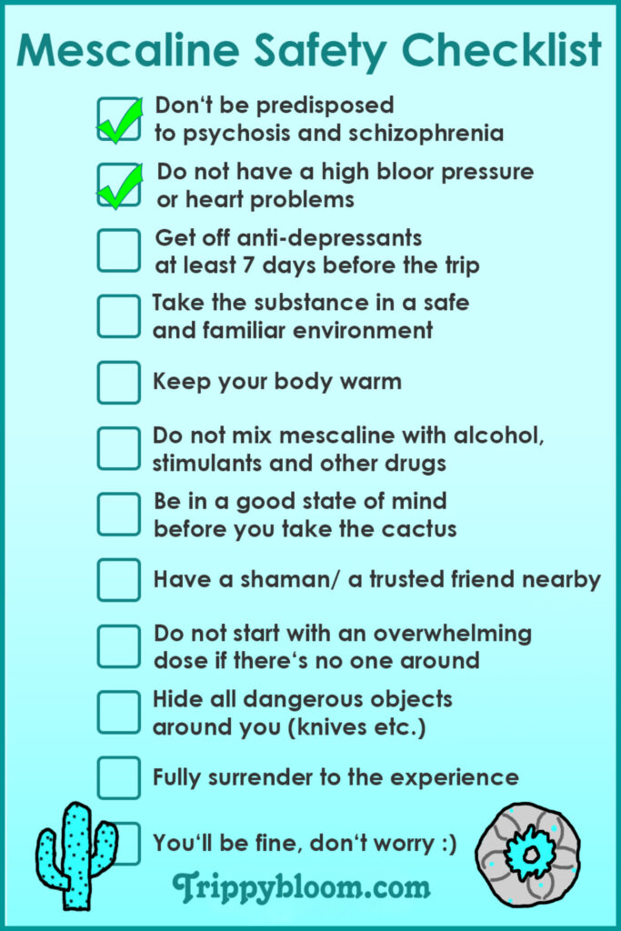 peyote, peyote mescaline guide, peyote cactus information, what is peyote, peyote effects explained, mescaline effects guide, peyote harm reduction, peyote safety information, peyote risks and side effects, peyote duration timeline, mescaline duration effects, peyote trip length, peyote onset peak comedown, peyote experience overview, peyote psychedelic effects, mescaline psychedelic guide, peyote vs mushrooms, peyote vs lsd, mescaline vs psilocybin, mescaline vs lsd comparison, peyote spiritual use, peyote traditional use, peyote cultural significance, peyote native american history, peyote ceremonial use, peyote religious context, peyote sacrament meaning, peyote nausea side effects, peyote physical effects, peyote mental effects, peyote emotional effects, peyote visuals description, peyote introspection effects, peyote challenging experiences, peyote bad trip information, peyote anxiety risk, peyote mental health risks, peyote psychosis risk, peyote bipolar risk, peyote set and setting, peyote safety checklist, peyote trip sitter importance, peyote preparation guide, peyote harm reduction tips, peyote safe environment, peyote integration practices, peyote afterglow effects, peyote integration guide, peyote journaling integration, peyote reflection practices, peyote microdosing information, peyote microdose guide, mescaline microdosing explained, peyote microdose risks, peyote microdose benefits claims, peyote dosage basics, peyote dosing variability, peyote potency variation, peyote mescaline content, peyote dried vs fresh, peyote dosage uncertainty, peyote equivalents explanation, mescaline dose ranges, peyote light moderate strong effects, peyote intensity levels, peyote long duration warning, peyote full day commitment, peyote hydration safety, peyote substance mixing risks, peyote alcohol interaction, peyote medication interaction, peyote legal status overview, peyote legality united states, peyote native american church law, peyote religious exemption law, peyote decriminalization cities, peyote legal risks, peyote law changes warning, peyote international legality, peyote conservation concerns, peyote endangered cactus, peyote overharvesting issues, peyote sustainability awareness, peyote ethical considerations, peyote cultural appropriation discussion, peyote respect indigenous traditions, peyote sacred plant education, peyote not recreational warning, peyote educational guide, peyote harm reduction education, peyote science overview, mescaline pharmacology overview, mescaline alkaloid information, peyote plant alkaloids, peyote whole plant effects, peyote variability explained, peyote unpredictability risks, peyote slow onset explanation, peyote long acting psychedelic, peyote natural psychedelic guide, peyote cactus species lophophora williamsii, lophophora williamsii mescaline, peyote cactus facts, peyote plant biology, peyote growth time years, peyote ecological impact, peyote habitat loss, peyote wild population decline, peyote protection laws, peyote ethical use discussion, peyote harm reduction checklist, peyote trip planning guide, peyote first time information, peyote beginner education, peyote realistic expectations, peyote myths vs facts, peyote scientific evidence limits, peyote anecdotal reports caution, peyote mental preparation guide, peyote intention setting, peyote emotional release effects, peyote symbolic visuals, peyote body load explanation, peyote stomach discomfort, peyote vomiting common, peyote physical strain warning, peyote endurance psychedelic, peyote cautionary guide, peyote respectful learning resource
