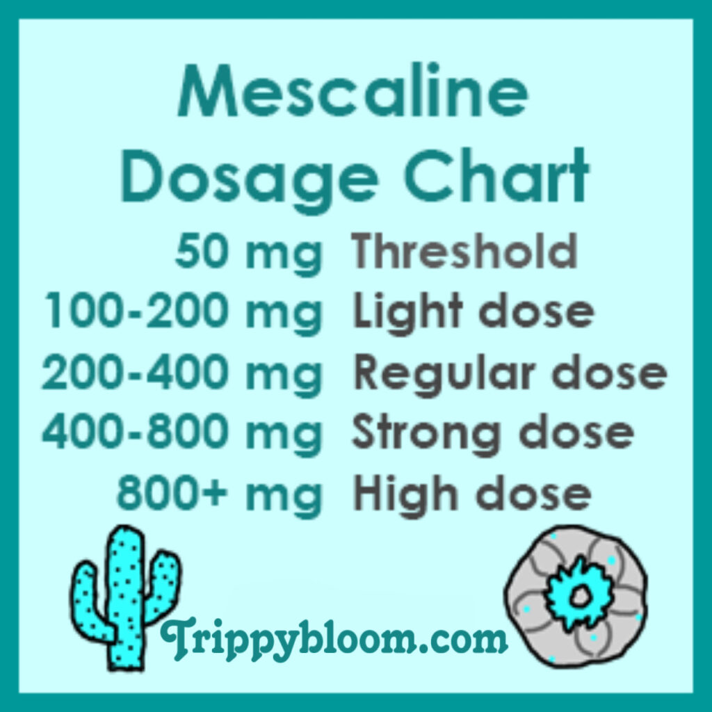 peyote, peyote mescaline guide, peyote cactus information, what is peyote, peyote effects explained, mescaline effects guide, peyote harm reduction, peyote safety information, peyote risks and side effects, peyote duration timeline, mescaline duration effects, peyote trip length, peyote onset peak comedown, peyote experience overview, peyote psychedelic effects, mescaline psychedelic guide, peyote vs mushrooms, peyote vs lsd, mescaline vs psilocybin, mescaline vs lsd comparison, peyote spiritual use, peyote traditional use, peyote cultural significance, peyote native american history, peyote ceremonial use, peyote religious context, peyote sacrament meaning, peyote nausea side effects, peyote physical effects, peyote mental effects, peyote emotional effects, peyote visuals description, peyote introspection effects, peyote challenging experiences, peyote bad trip information, peyote anxiety risk, peyote mental health risks, peyote psychosis risk, peyote bipolar risk, peyote set and setting, peyote safety checklist, peyote trip sitter importance, peyote preparation guide, peyote harm reduction tips, peyote safe environment, peyote integration practices, peyote afterglow effects, peyote integration guide, peyote journaling integration, peyote reflection practices, peyote microdosing information, peyote microdose guide, mescaline microdosing explained, peyote microdose risks, peyote microdose benefits claims, peyote dosage basics, peyote dosing variability, peyote potency variation, peyote mescaline content, peyote dried vs fresh, peyote dosage uncertainty, peyote equivalents explanation, mescaline dose ranges, peyote light moderate strong effects, peyote intensity levels, peyote long duration warning, peyote full day commitment, peyote hydration safety, peyote substance mixing risks, peyote alcohol interaction, peyote medication interaction, peyote legal status overview, peyote legality united states, peyote native american church law, peyote religious exemption law, peyote decriminalization cities, peyote legal risks, peyote law changes warning, peyote international legality, peyote conservation concerns, peyote endangered cactus, peyote overharvesting issues, peyote sustainability awareness, peyote ethical considerations, peyote cultural appropriation discussion, peyote respect indigenous traditions, peyote sacred plant education, peyote not recreational warning, peyote educational guide, peyote harm reduction education, peyote science overview, mescaline pharmacology overview, mescaline alkaloid information, peyote plant alkaloids, peyote whole plant effects, peyote variability explained, peyote unpredictability risks, peyote slow onset explanation, peyote long acting psychedelic, peyote natural psychedelic guide, peyote cactus species lophophora williamsii, lophophora williamsii mescaline, peyote cactus facts, peyote plant biology, peyote growth time years, peyote ecological impact, peyote habitat loss, peyote wild population decline, peyote protection laws, peyote ethical use discussion, peyote harm reduction checklist, peyote trip planning guide, peyote first time information, peyote beginner education, peyote realistic expectations, peyote myths vs facts, peyote scientific evidence limits, peyote anecdotal reports caution, peyote mental preparation guide, peyote intention setting, peyote emotional release effects, peyote symbolic visuals, peyote body load explanation, peyote stomach discomfort, peyote vomiting common, peyote physical strain warning, peyote endurance psychedelic, peyote cautionary guide, peyote respectful learning resource