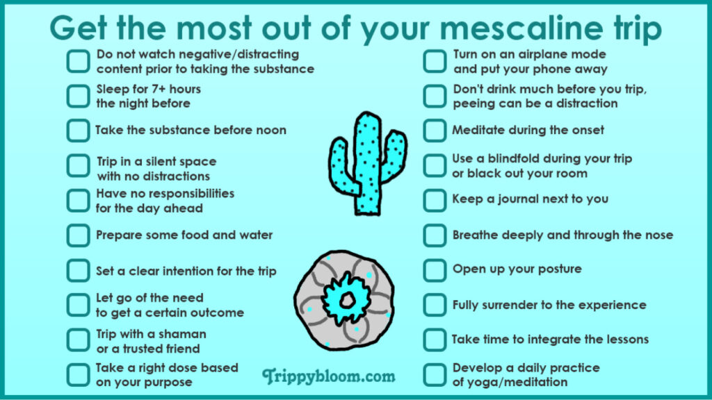 peyote, peyote mescaline guide, peyote cactus information, what is peyote, peyote effects explained, mescaline effects guide, peyote harm reduction, peyote safety information, peyote risks and side effects, peyote duration timeline, mescaline duration effects, peyote trip length, peyote onset peak comedown, peyote experience overview, peyote psychedelic effects, mescaline psychedelic guide, peyote vs mushrooms, peyote vs lsd, mescaline vs psilocybin, mescaline vs lsd comparison, peyote spiritual use, peyote traditional use, peyote cultural significance, peyote native american history, peyote ceremonial use, peyote religious context, peyote sacrament meaning, peyote nausea side effects, peyote physical effects, peyote mental effects, peyote emotional effects, peyote visuals description, peyote introspection effects, peyote challenging experiences, peyote bad trip information, peyote anxiety risk, peyote mental health risks, peyote psychosis risk, peyote bipolar risk, peyote set and setting, peyote safety checklist, peyote trip sitter importance, peyote preparation guide, peyote harm reduction tips, peyote safe environment, peyote integration practices, peyote afterglow effects, peyote integration guide, peyote journaling integration, peyote reflection practices, peyote microdosing information, peyote microdose guide, mescaline microdosing explained, peyote microdose risks, peyote microdose benefits claims, peyote dosage basics, peyote dosing variability, peyote potency variation, peyote mescaline content, peyote dried vs fresh, peyote dosage uncertainty, peyote equivalents explanation, mescaline dose ranges, peyote light moderate strong effects, peyote intensity levels, peyote long duration warning, peyote full day commitment, peyote hydration safety, peyote substance mixing risks, peyote alcohol interaction, peyote medication interaction, peyote legal status overview, peyote legality united states, peyote native american church law, peyote religious exemption law, peyote decriminalization cities, peyote legal risks, peyote law changes warning, peyote international legality, peyote conservation concerns, peyote endangered cactus, peyote overharvesting issues, peyote sustainability awareness, peyote ethical considerations, peyote cultural appropriation discussion, peyote respect indigenous traditions, peyote sacred plant education, peyote not recreational warning, peyote educational guide, peyote harm reduction education, peyote science overview, mescaline pharmacology overview, mescaline alkaloid information, peyote plant alkaloids, peyote whole plant effects, peyote variability explained, peyote unpredictability risks, peyote slow onset explanation, peyote long acting psychedelic, peyote natural psychedelic guide, peyote cactus species lophophora williamsii, lophophora williamsii mescaline, peyote cactus facts, peyote plant biology, peyote growth time years, peyote ecological impact, peyote habitat loss, peyote wild population decline, peyote protection laws, peyote ethical use discussion, peyote harm reduction checklist, peyote trip planning guide, peyote first time information, peyote beginner education, peyote realistic expectations, peyote myths vs facts, peyote scientific evidence limits, peyote anecdotal reports caution, peyote mental preparation guide, peyote intention setting, peyote emotional release effects, peyote symbolic visuals, peyote body load explanation, peyote stomach discomfort, peyote vomiting common, peyote physical strain warning, peyote endurance psychedelic, peyote cautionary guide, peyote respectful learning resource